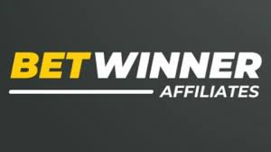 Contact Betwinner Suporte e Atendimento Personalizado